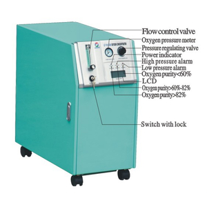 Institución médica Health Care 10L Concentrador de oxígeno con control remoto (MT05101070)